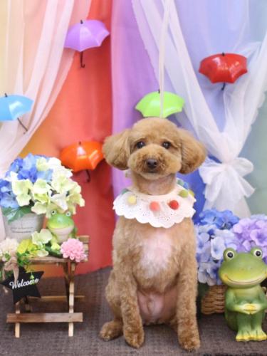 20230621サンくん